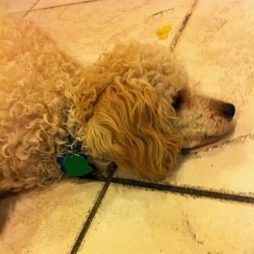 Meet your Posher, Eden